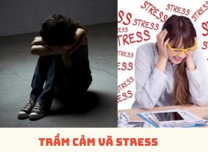 Trầm cảm và stress không phải là cùng một vấn đề