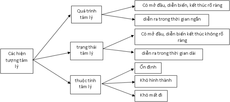 bản chất của hiện tượng tâm lý người